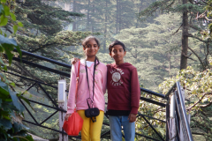 Shimla Hotel Alpine Heritage entrance - When not in war, the twins are at peace.