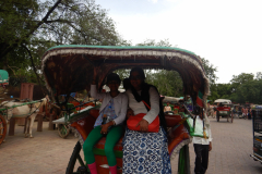 Taj Mahal - Horse Rickshaw, ready to move