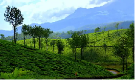Wayand District of Kerala