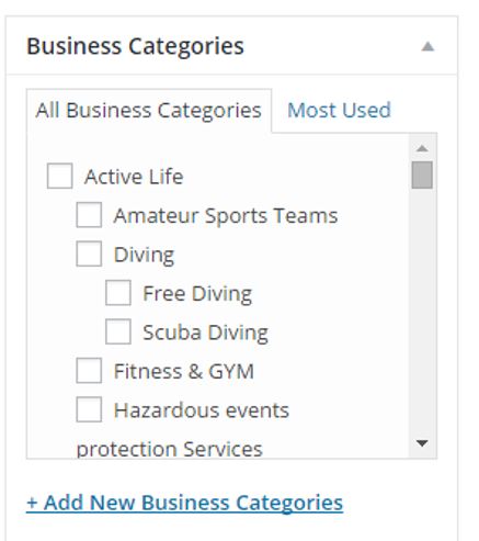 Screenshot of the current business category section – to be modified