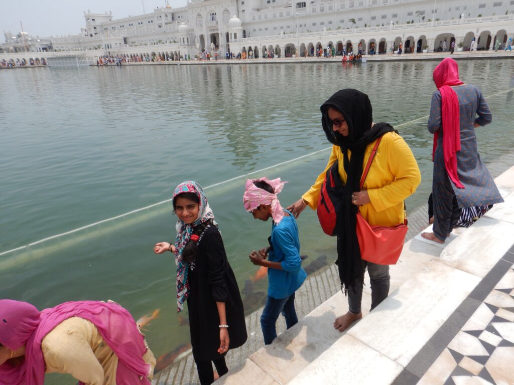 Golden temple - By the Temple Pond, marvelling at the fishes