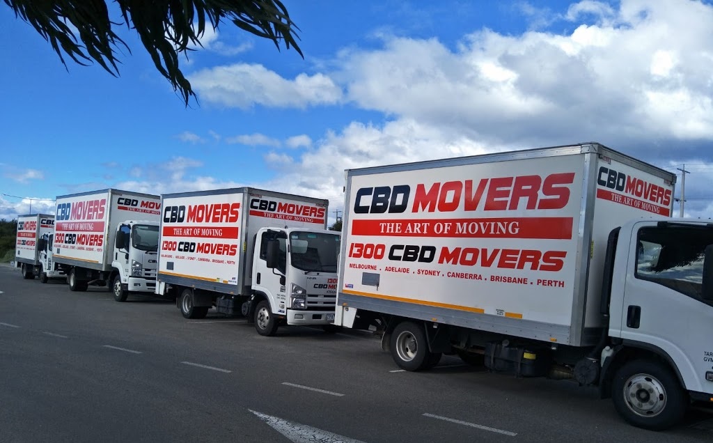 cbd movers